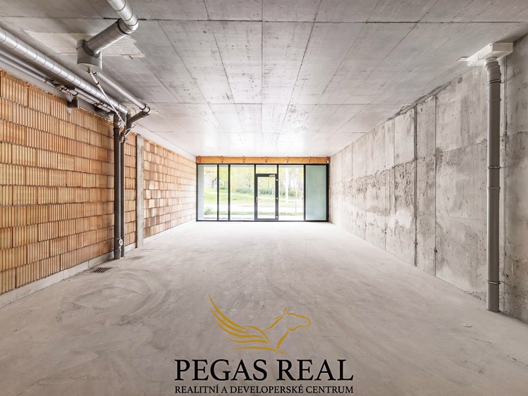 Prodej komerčního prostoru, 79 m² (1 z 5)