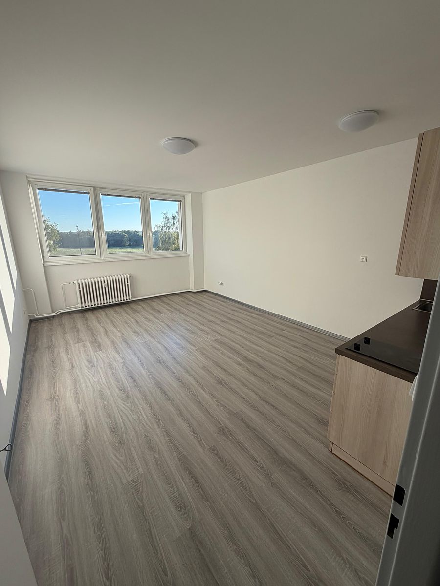 Pronájem bytu 1+kk 33 m², Třeboň – fotka 1 z 3