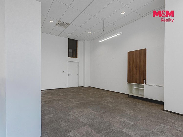 Pronájem komerčního prostoru, 396 m² (20 z 30)