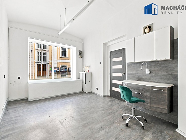 Prodej komerčního prostoru, 300 m² (15 z 58)