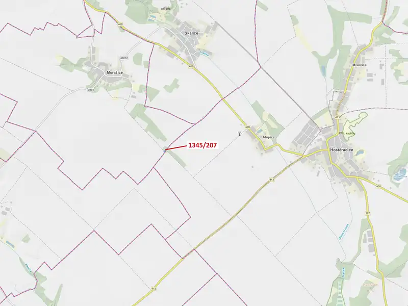 Dražba lesa 1049 m², Morašice – náhled fotky 1