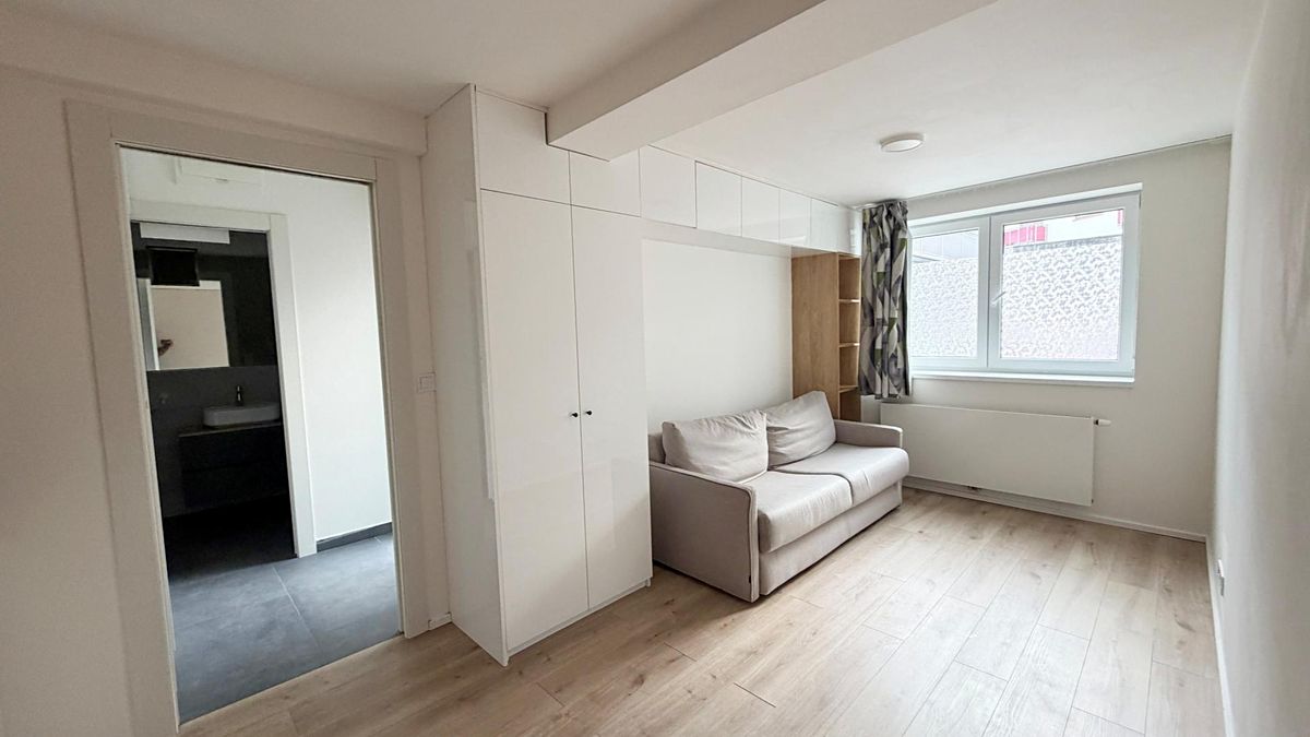 Pronájem bytu 1+kk 24 m² – fotografie 3