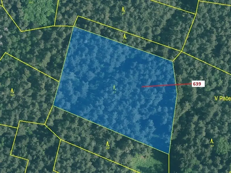Dražba lesa 8912 m², Kuřimany – náhled fotky 2