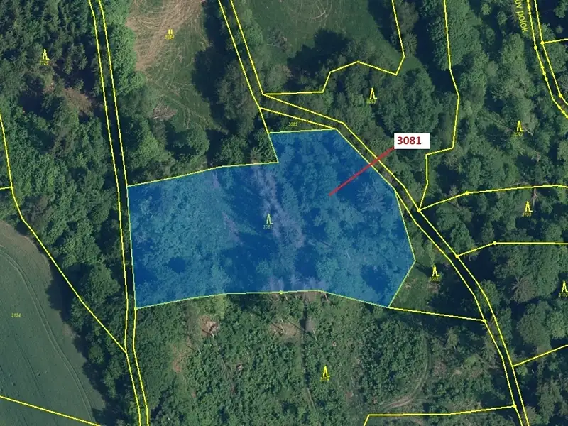 Dražba lesa 6213 m², Benešov u Semil – náhled fotky 2