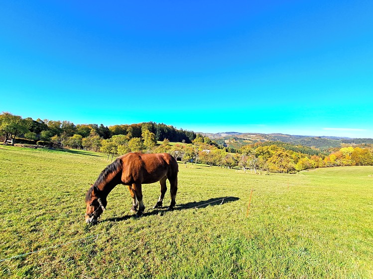 Prodej domu, 180 m² (22 z 38)