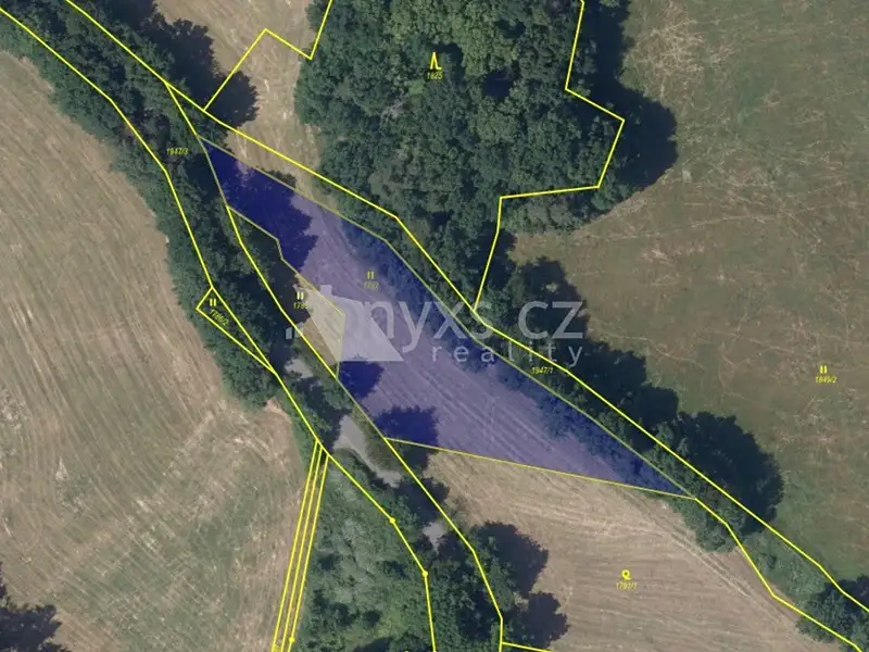Prodej louky 3030 m², Kunice – náhled fotky 2