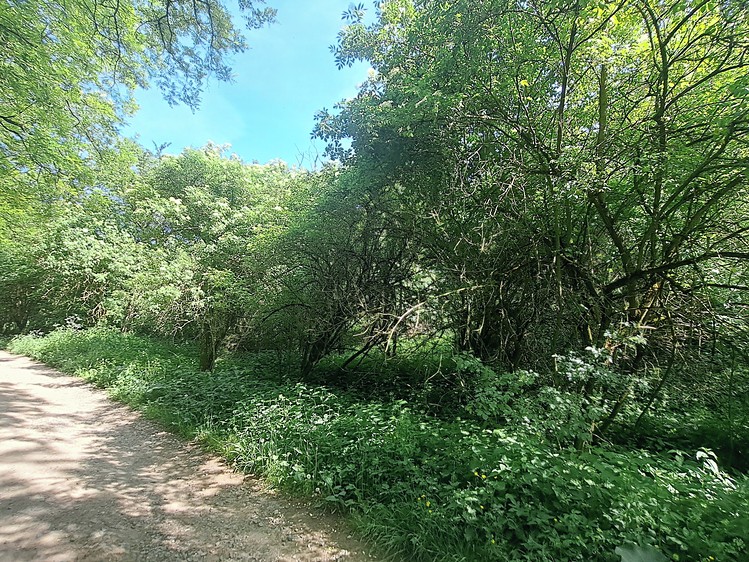 Ostatní