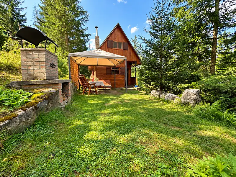 Prodej chaty 45 m², pozemek 1343 m², Lštění – náhled fotky 1