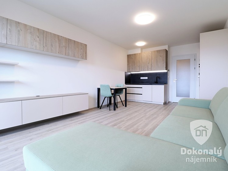 Pronájem bytu 1+kk, 34 m² (2 z 23)