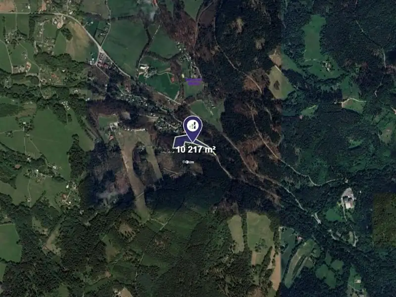 Prodej lesa 10217 m², Malenovice – náhled fotky 2