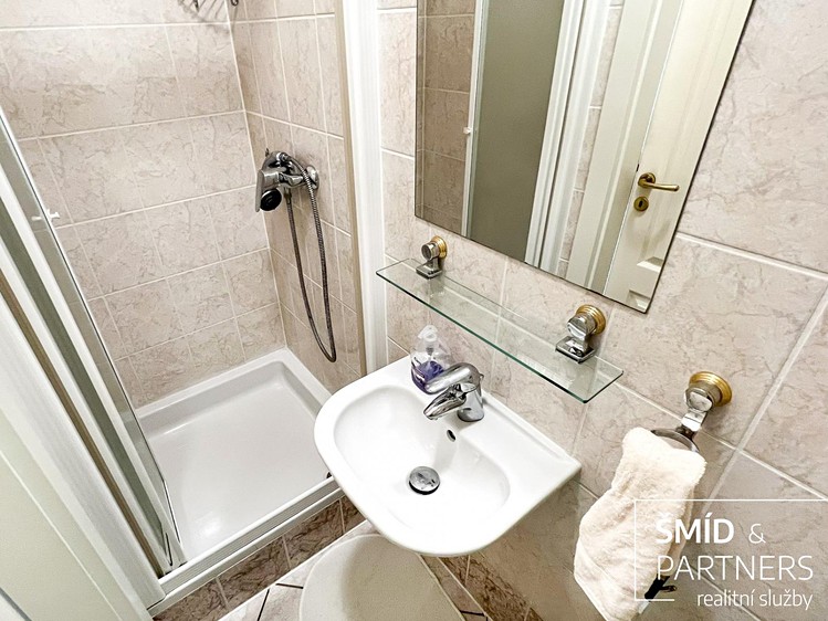 Wohnung 5+kk zum Kauf, 245 m² (27 von 35)