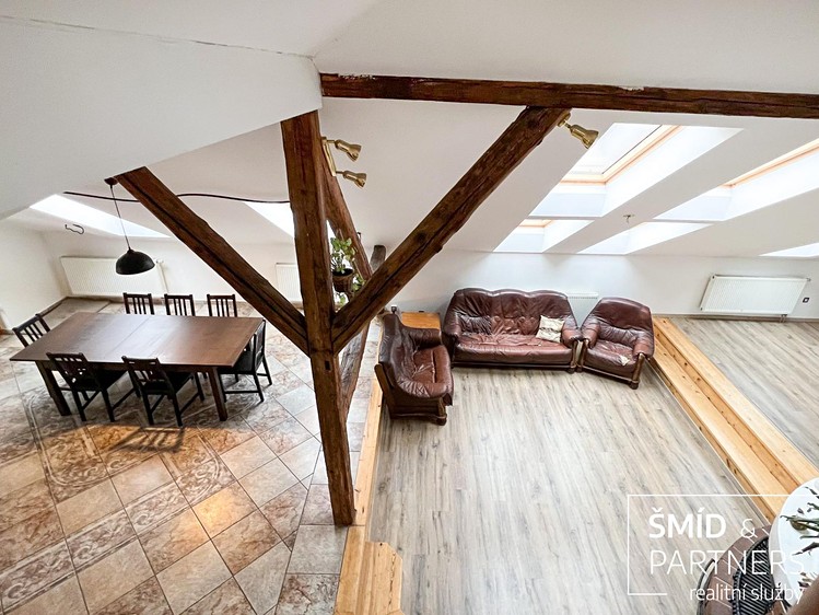 Wohnung 5+kk zum Kauf, 245 m² (4 von 35)