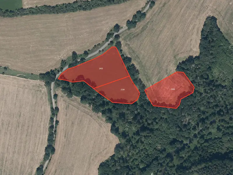 Prodej pole 65865 m², Radíč – náhled fotky 3