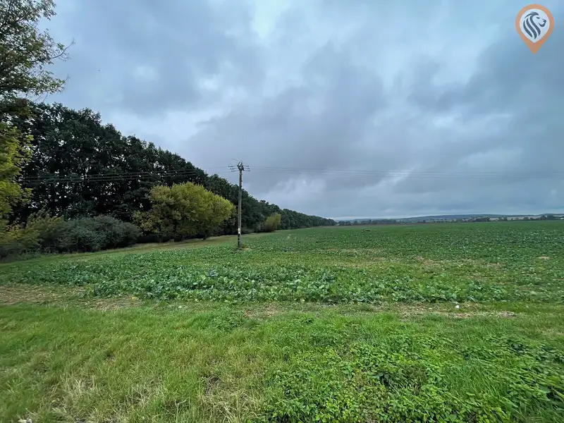 Prodej pole 7001 m², Úhonice – náhled fotky 3