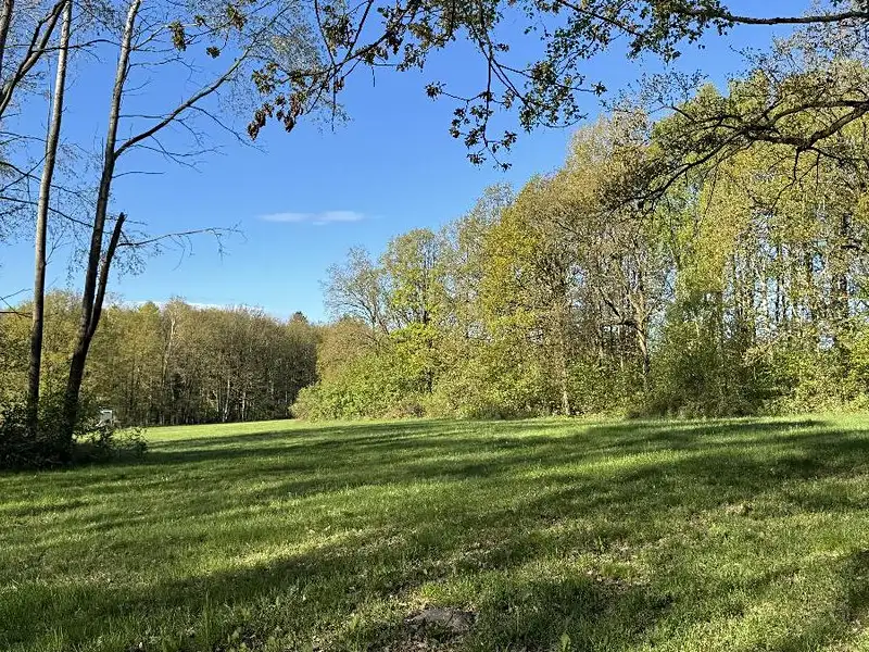 Prodej pozemku 20250 m², Čížkov – náhled fotky 3