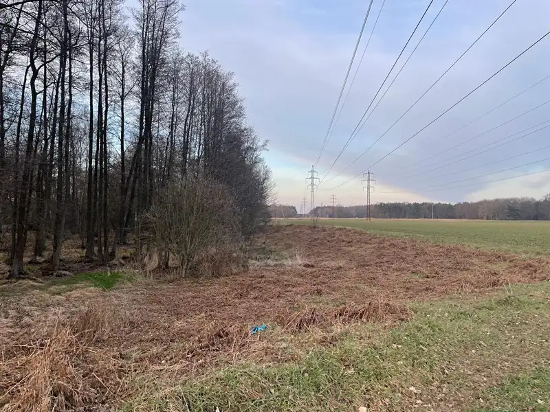 Prodej pozemku 3460 m², Černá u Bohdanče – náhled fotky 2