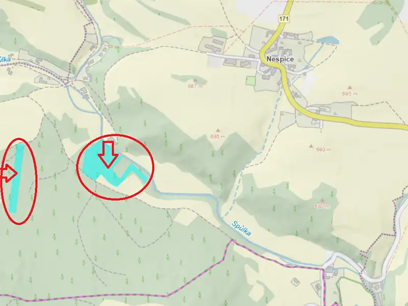 Prodej lesa 24200 m², Vacov – náhled fotky 3