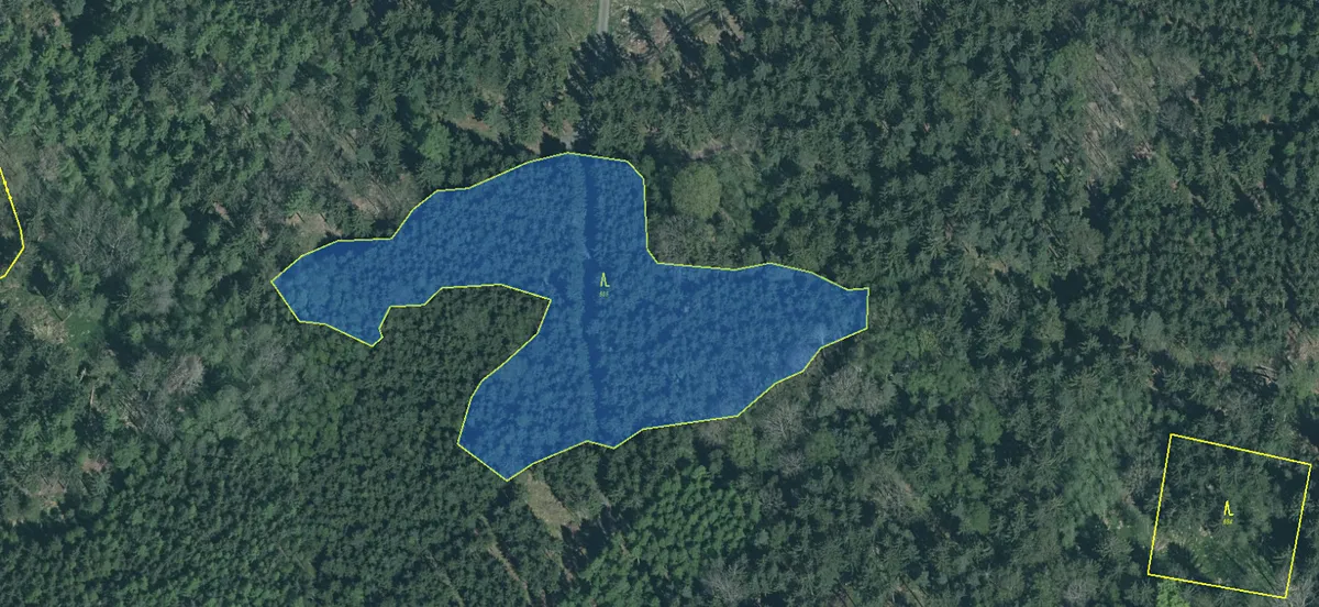Prodej podílu 1/8 lesa 1057 m²