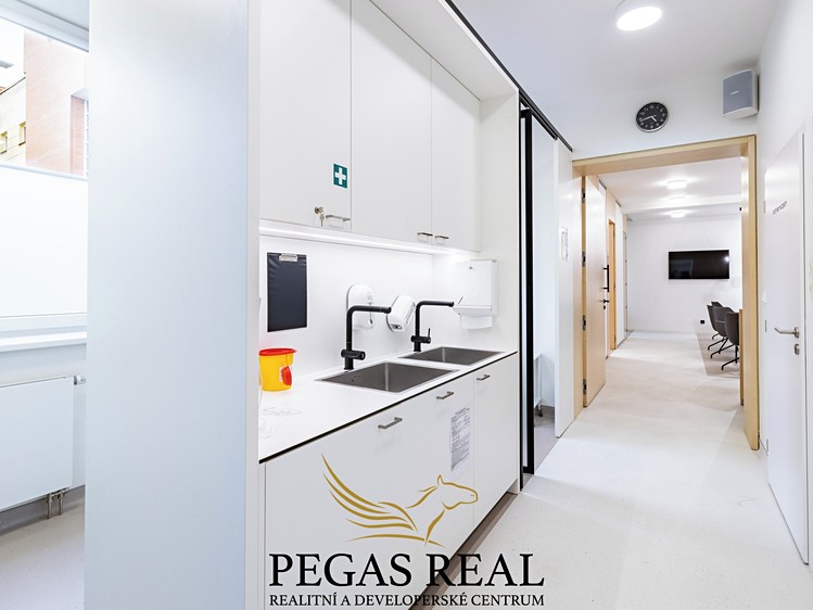 Gewerbefläche zur Miete, 228 m² (16 von 17)