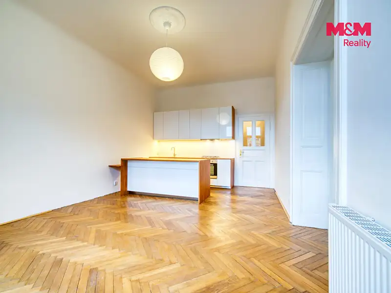 Pronájem bytu 3+kk 109 m², Plzeň – náhled fotky 3