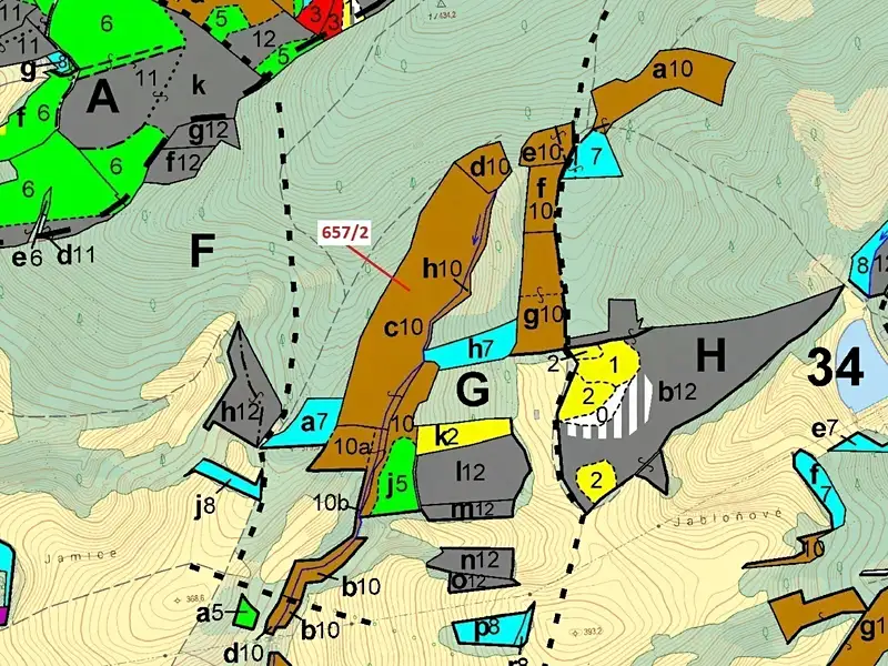 Dražba lesa 22874 m², Neubuz – náhled fotky 3