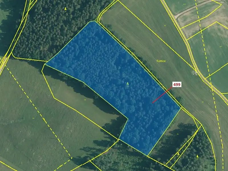 Dražba lesa 25097 m², Kardašova Řečice – náhled fotky 2
