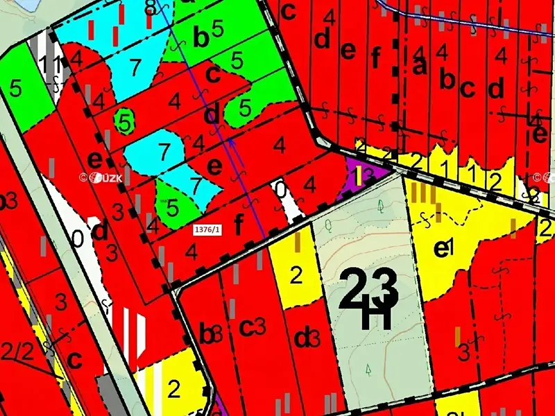Dražba lesa 13807 m², Břehov – náhled fotky 3