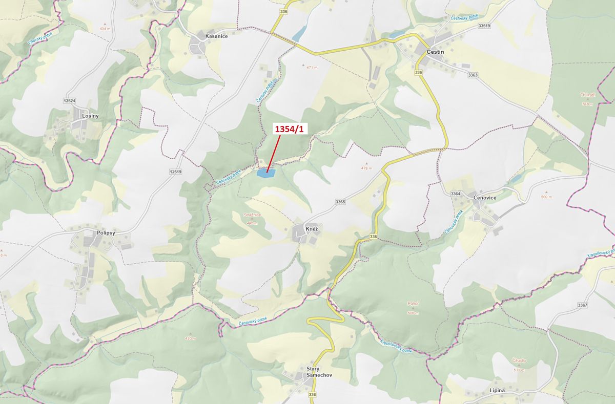 Dražba lesa 13976 m², Čestín – fotka 1 z 3