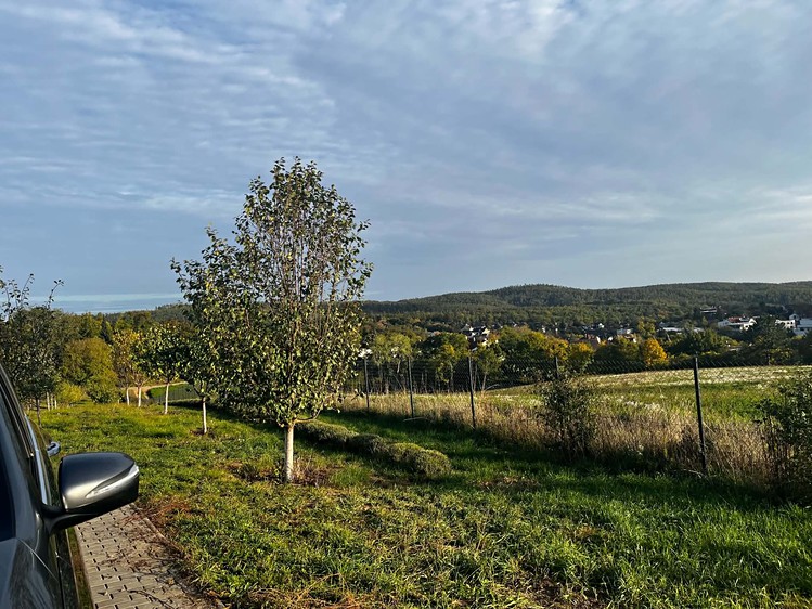 Ostatní