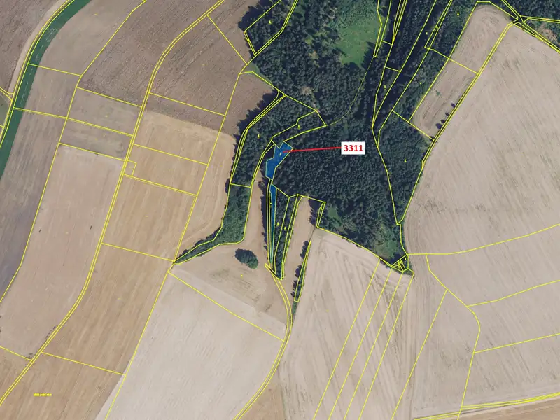 Dražba lesa 2084 m², Bělá nad Svitavou – náhled fotky 2