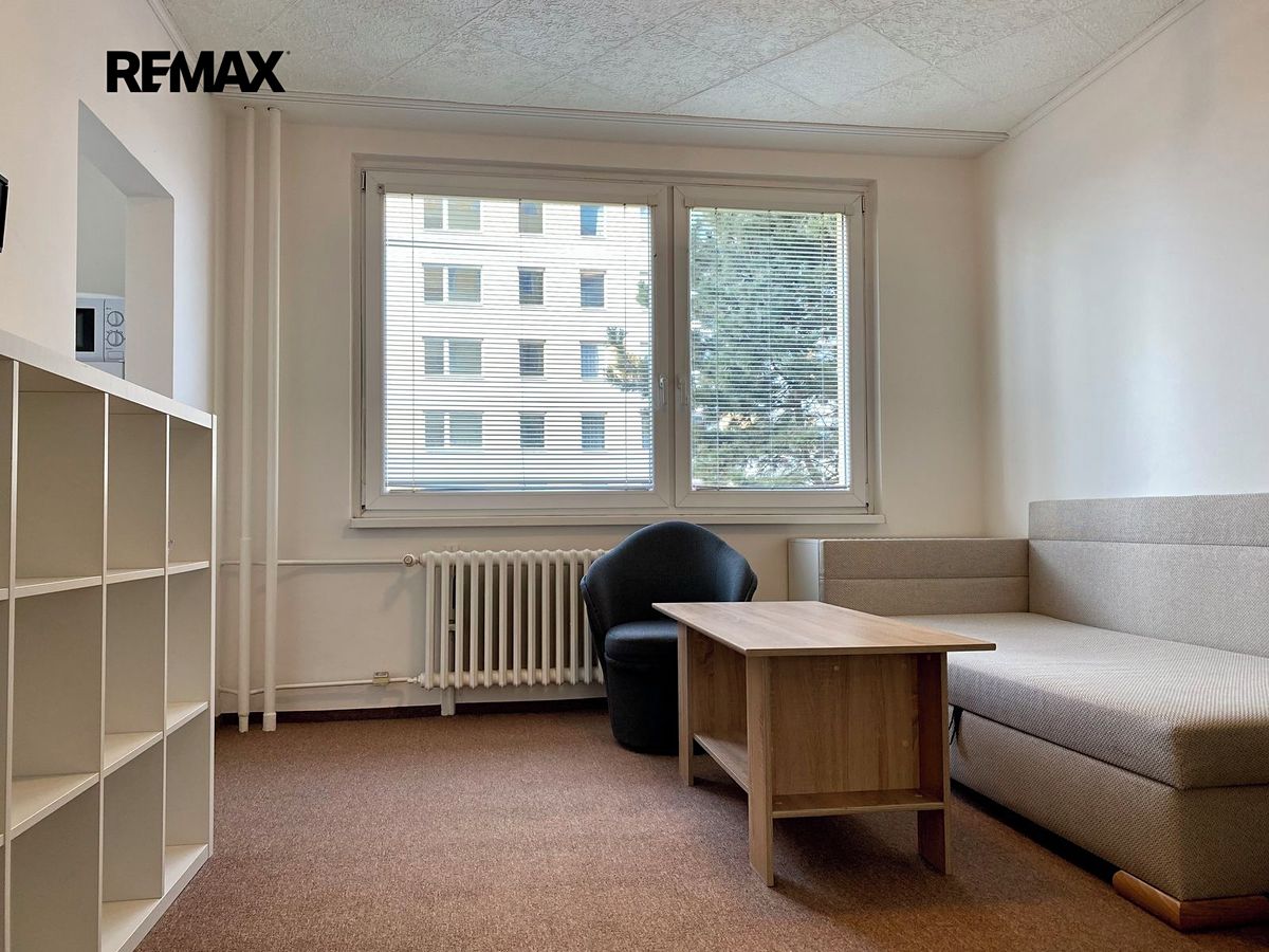 Pronájem bytu 1+1 30 m², Praha – fotka 1 z 3