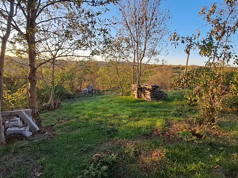 Prodej zahrady 2010 m², Dolní Kounice – náhled fotky 3