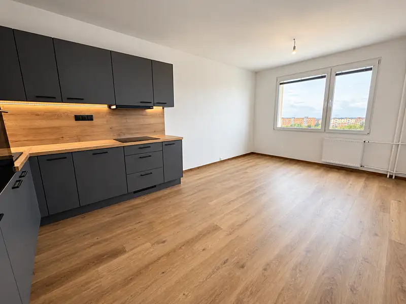 Prodej bytu 2+kk 40 m², Plzeň – náhled fotky 3