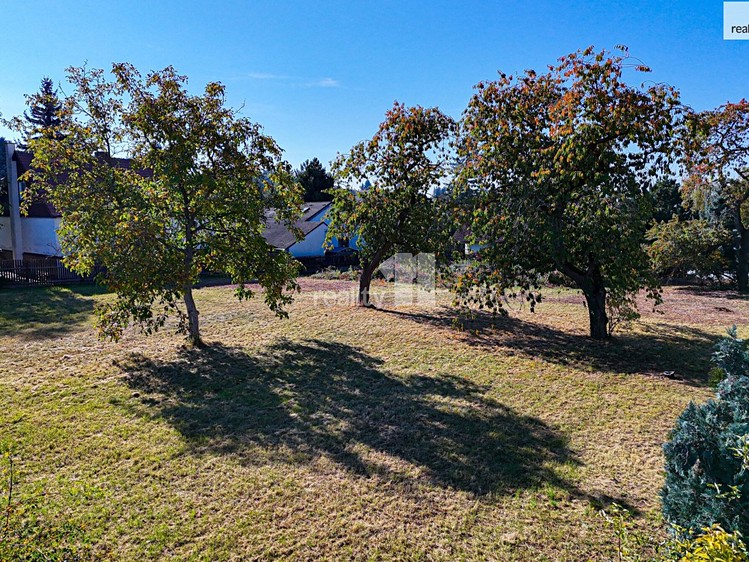 Prodej pozemku, 2 231 m² (6 z 12)