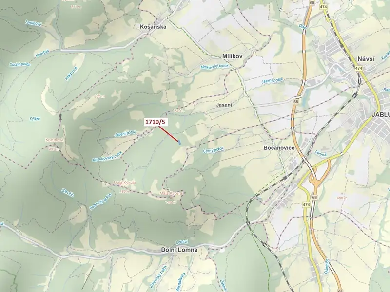 Dražba lesa 3528 m², Návsí – náhled fotky 1