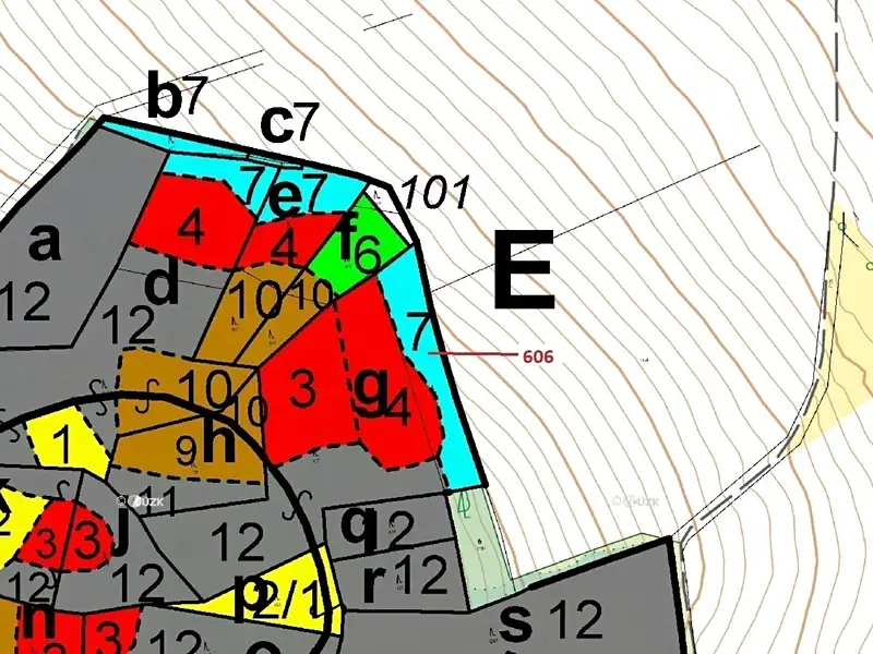 Dražba lesa 2526 m², Kuřimany – náhled fotky 3