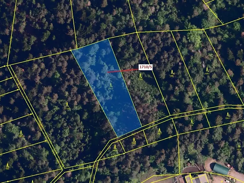 Dražba lesa 3528 m², Návsí – náhled fotky 2