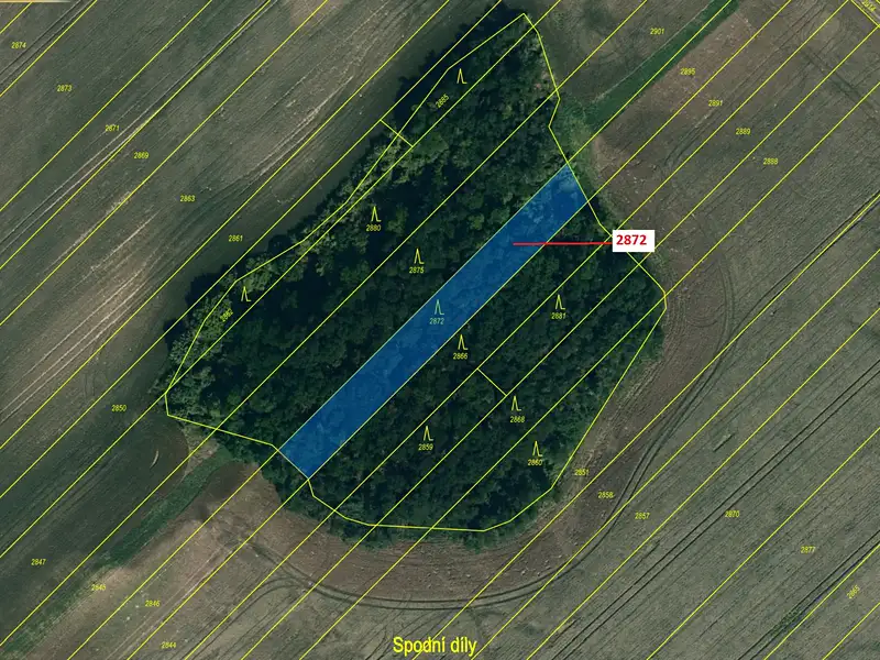 Dražba lesa 1391 m², Želetice – náhled fotky 2