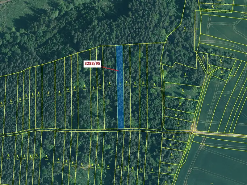 Dražba lesa 1735 m², Hosty – náhled fotky 2