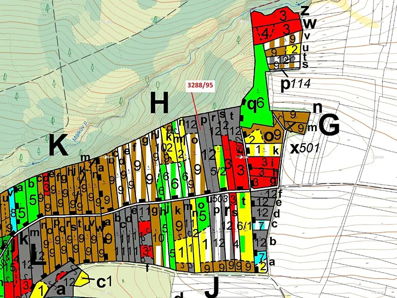 Dražba lesa 1735 m², Hosty – náhled fotky 3
