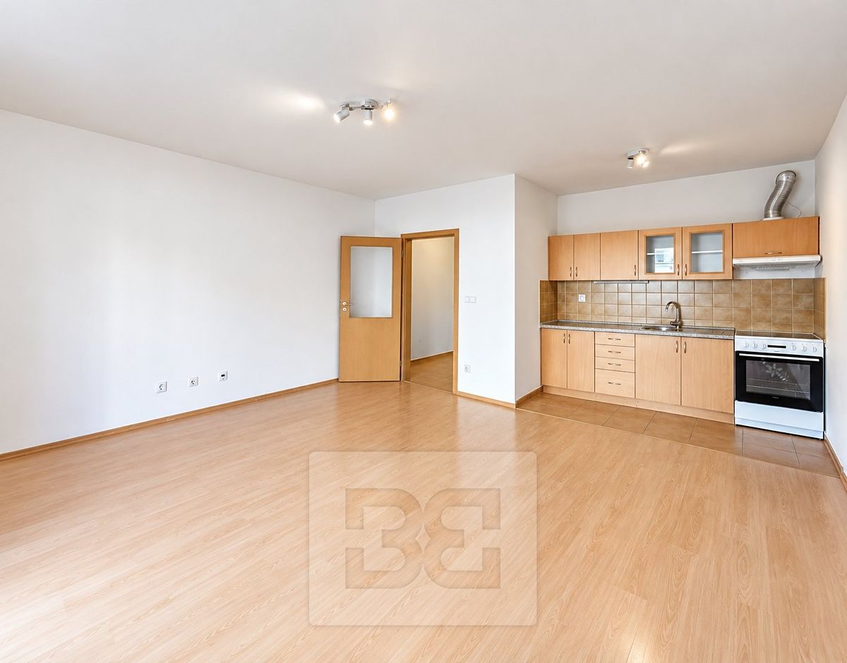 Pronájem bytu 1+kk 42 m²
