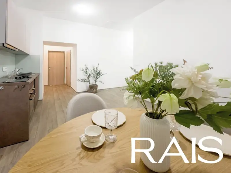 Prodej bytu 3+kk 59 m², Brno – náhled fotky 3