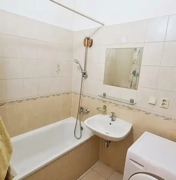 Prodej bytu 1+1 39 m², Plzeň – náhled fotky 3