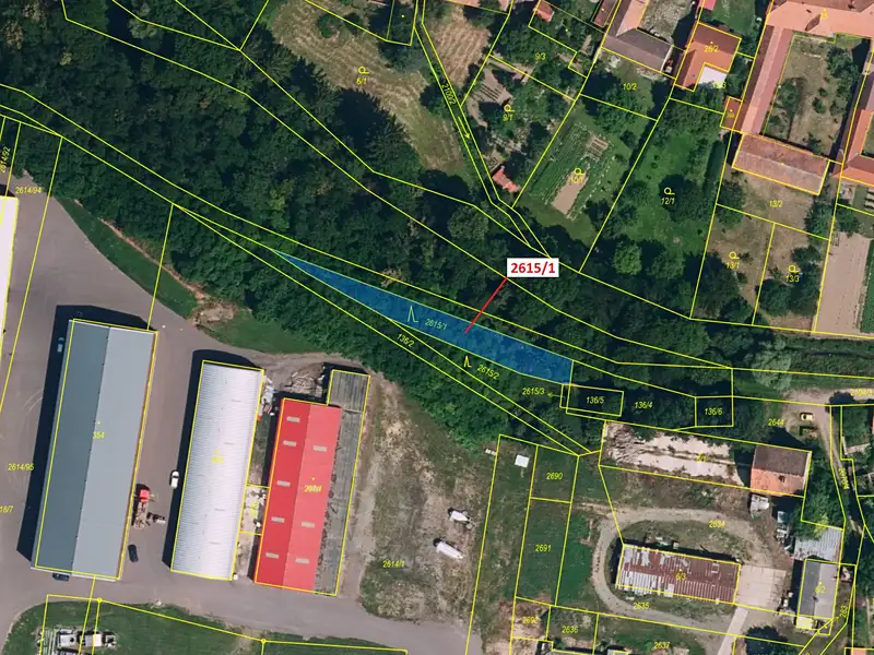 Dražba lesa 478 m², Horní Dunajovice – náhled fotky 2