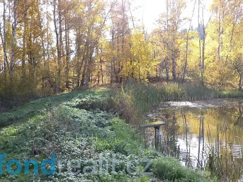 Prodej pozemku 1225 m², Borovná – náhled fotky 1