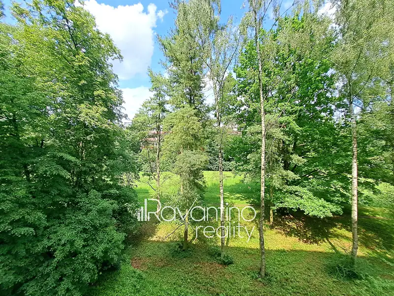 Pronájem bytu 2+1 58 m², Brno – náhled fotky 3