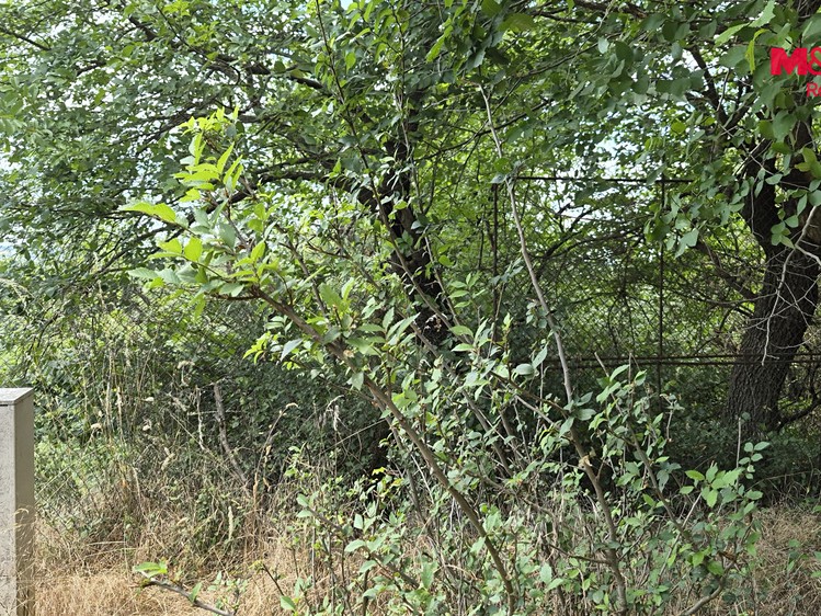 Prodej pozemku, 1 358 m² (3 z 12)