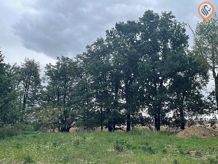Grundstück zum Kauf, 51.051 m² (4 von 17)