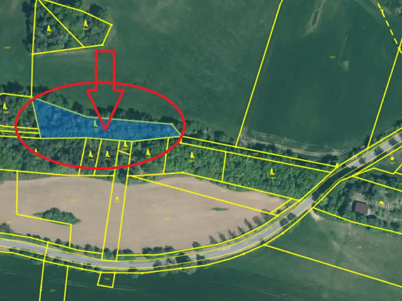 Prodej lesa 2163 m², Třebohostice – náhled fotky 2