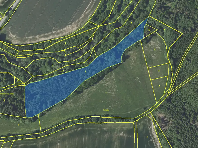 Prodej pozemku 23891 m², Louňovice pod Blaníkem – náhled fotky 2